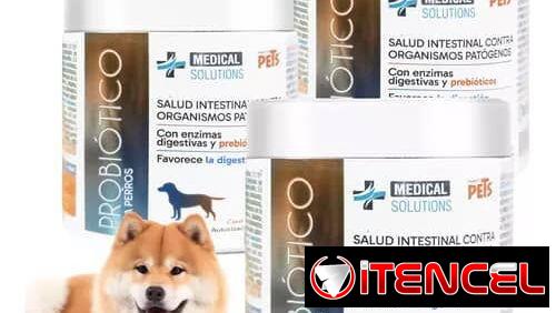 Probióticos