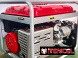40% de descuento en el generador Excalibur SM9500CXE* (110 V + 220 V, arranque eléctrico, control remoto, opcional: ATS)