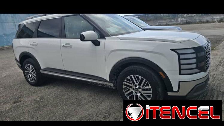 Hyundai palisade calligraphy 2026 0km