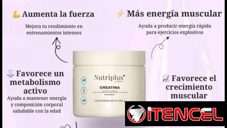 Creatina farmasi
