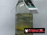 Botellas, polaroids y cuadros personalizados