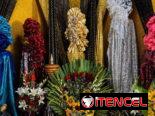 Tronos Para Santos