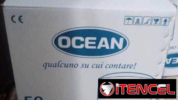Calentador eléctrico de agua (OCEAN)
