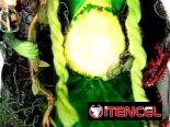 Elfas de la Fertilidad