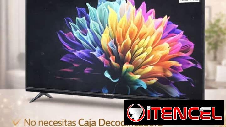 Plasma