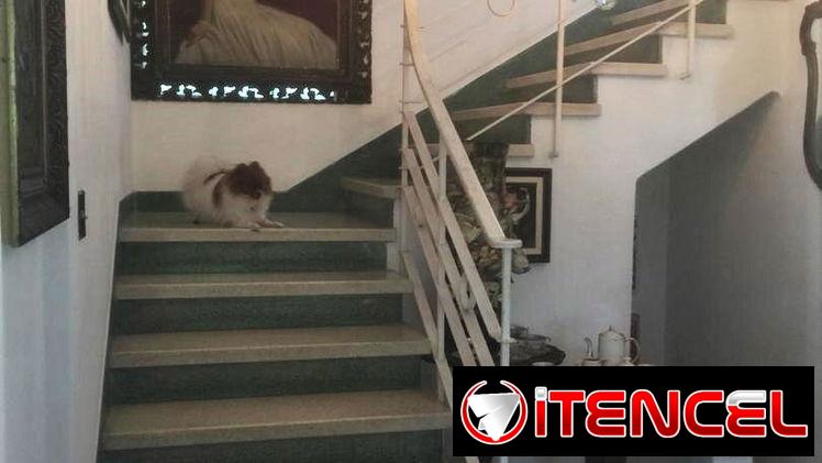 Casa de 5/4, pequeña piscina, en Nuevo Vedado (NV-52)