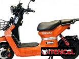 MOTICO ELÉCTRICA TORVAN
