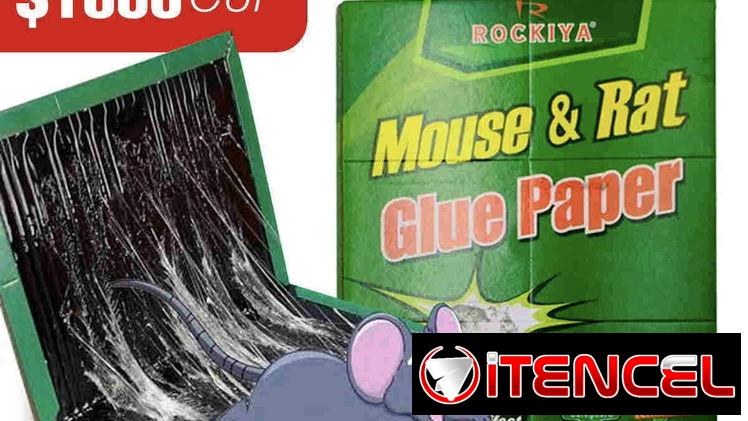 Pegatinas para Ratas, Ratones y Guayabitos
