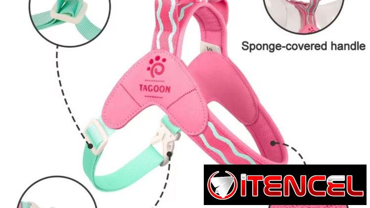 Correa con pechera ergonómica para Mascotas
