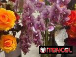 Macetas con flores artificiales