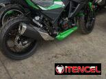 Moto deportiva furiosa 250CC (2650)