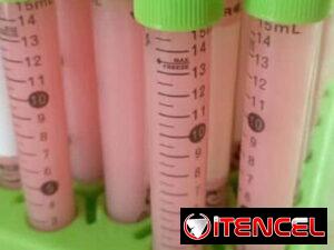 741f3dfe661a00ab67890a1090c4af584fc7bfcb4afcc275d6ada9fff164de78