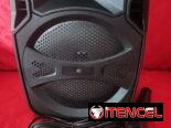 Bocina Bluetooth de 6,5″ con mando y micrófono