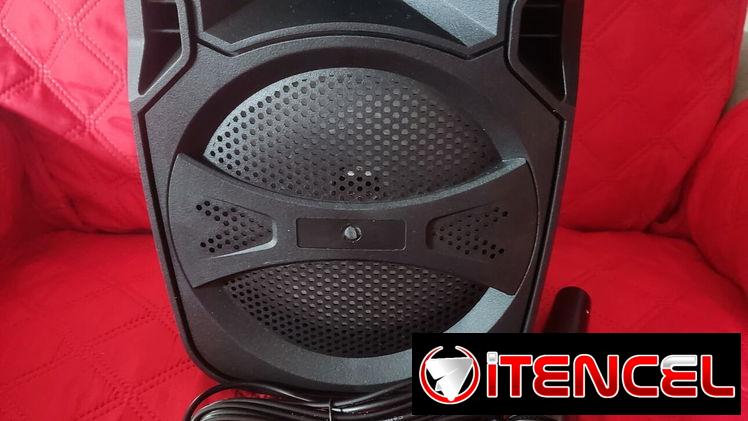 Bocina Bluetooth de 6,5″ con mando y micrófono