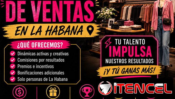 🚨Se Buscan Gestores de venta 🚨