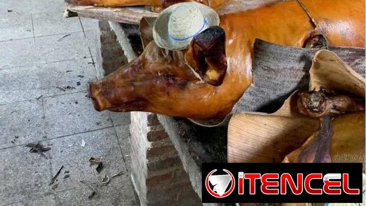 Comida a domicilio