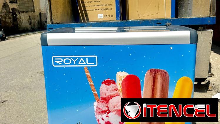 Nevera exhibidora Tipo Heladera de 11 pies
