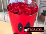 🎉 REGALOS PERSONALIZADOS y DECORACIONES DE EVENTOS🎉
