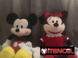 Mickey y Minnie