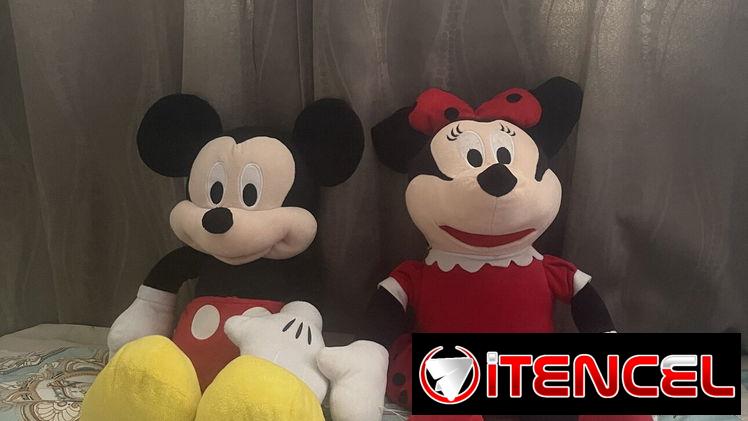 Mickey y Minnie