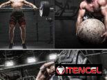 ✔️faja para gym RDX Cinturón de levantamiento de pesas, gimnasio y fitness talla M(23-30)