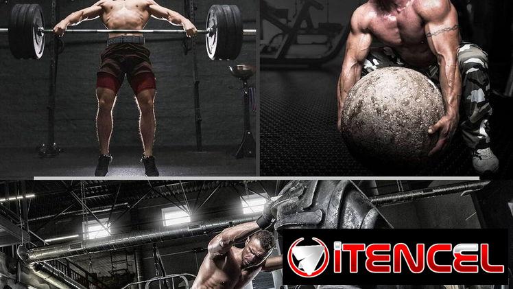 ✔️faja para gym RDX Cinturón de levantamiento de pesas, gimnasio y fitness talla M(23-30)
