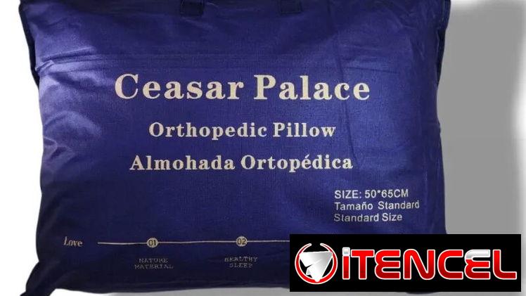 Almohadas ortopédica (th)