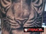 Tatuajes