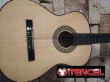 Se vende guitarra de uso bien cuidada