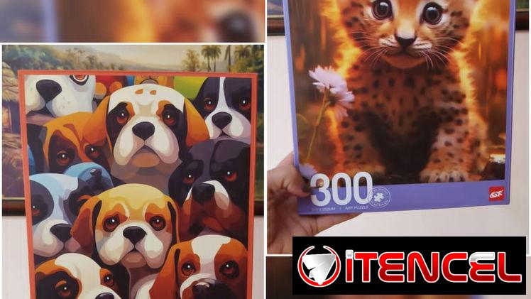 Rompecabezas de 300 piezas*