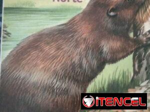7784ddf2b7098bc87cb5ab9539273f0c0a6bdd9253ca9440a73de36cf0e1c069