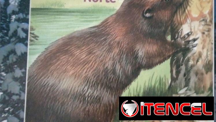 Se vende libro Instructivo sobre Animales de América del Norte