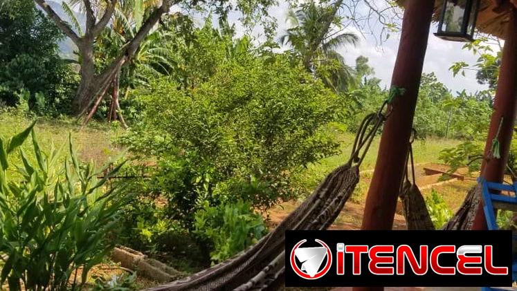 Casa con 5 habitaciones en Viñales – Piscina, terraza, cocina – 30 USD por hab – A 3 min de la plaza