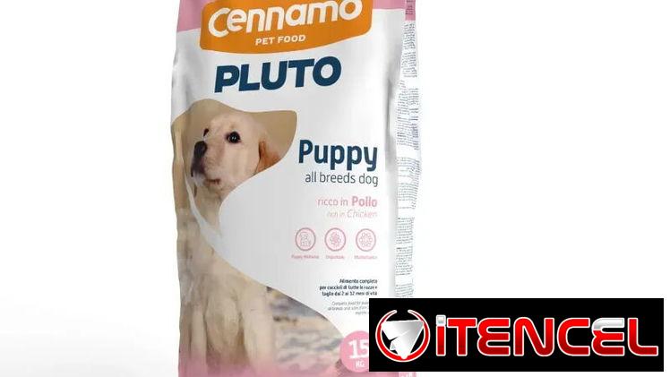 Pienso para perros