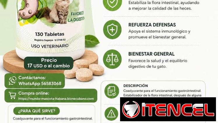 Probioticos para gatos 130 tabletas