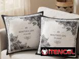 ☕️Set de 2 cojines con su forro y ziper /18 usd☕️