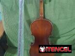 Violin 3/4