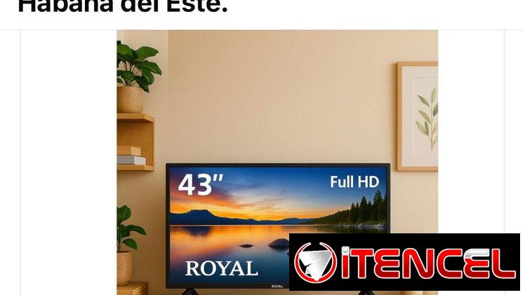 TV televisores.