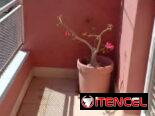 🏡 ¡SE VENDE! Hermoso Apartamento en Guanabacoa (Construcción Capitalista) 🏡