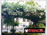 Casa en el Vedado