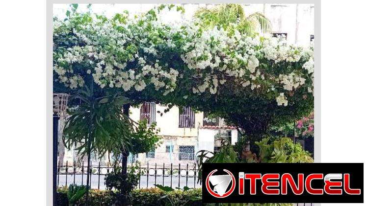 Casa en el Vedado