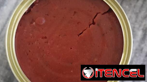 Pasta de Tomate: “Sabrosísimo” (400g)