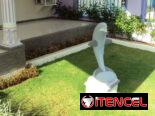 alquiler lineal en el vedado TODO INCLUIDO wifi y planta