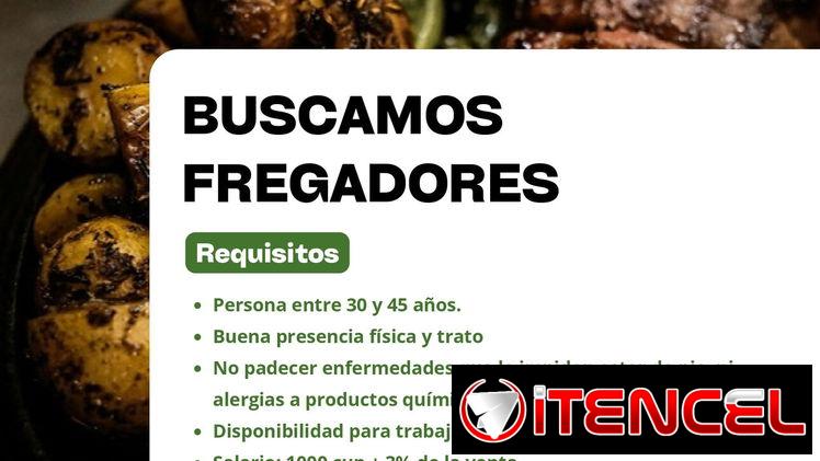 BUSCAMOS FREGADOR (A)
