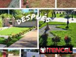 CREAMOS Y DISEÑAMOS JARDINES CON CÉSPED, PLANTAS, PIEDRAS DECORATIVAS, MACETAS Y TODO LO QUE USTED DESEE. JARDINEROS