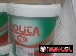Vinil blanco interior antimoho (20kg) Importada