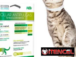 7a8b0fbf93a9c8942a174e53d2c5a48ac0629da4057a512ca41a92cbd14d4768