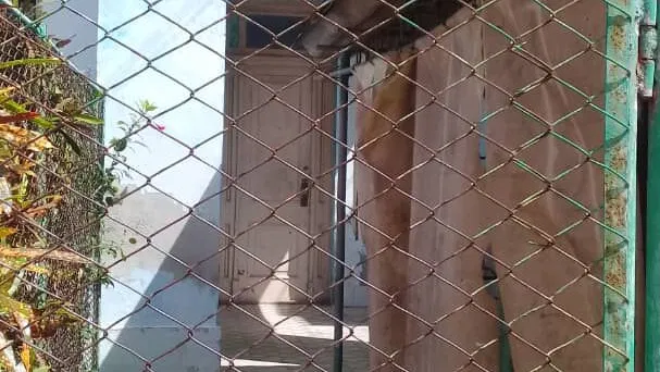 Se vende casa en el vedado (sin intermediarios o corredor de permuta)