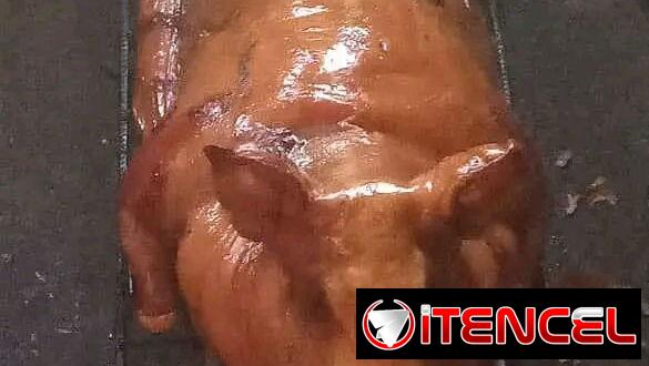 Comidas criollas a domicilio
