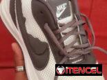 Tenis